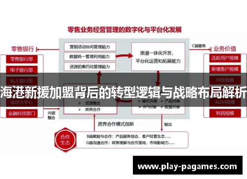海港新援加盟背后的转型逻辑与战略布局解析