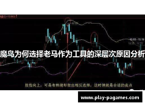 魔鸟为何选择老马作为工具的深层次原因分析
