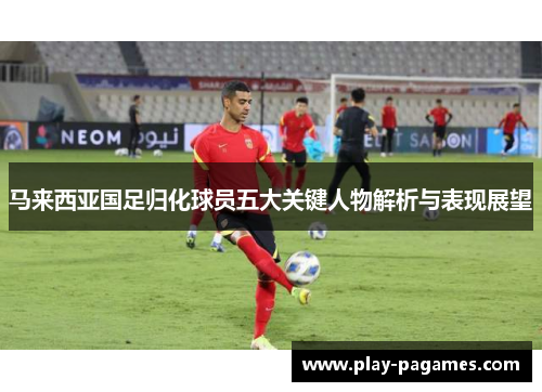 马来西亚国足归化球员五大关键人物解析与表现展望